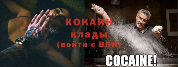 дживик Белокуриха