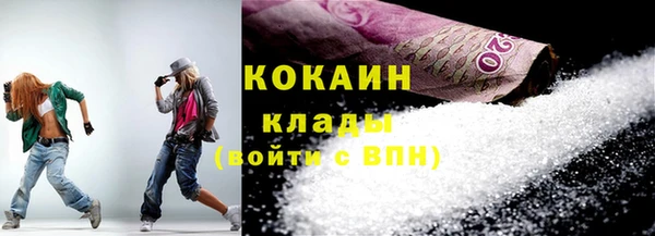 дживик Белокуриха