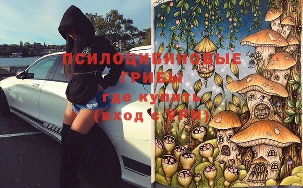 твердый Болохово