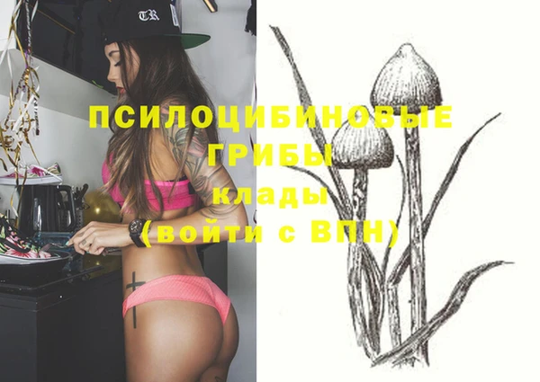 дживик Белокуриха