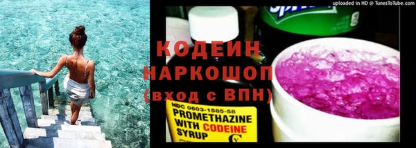 хмурый Болотное