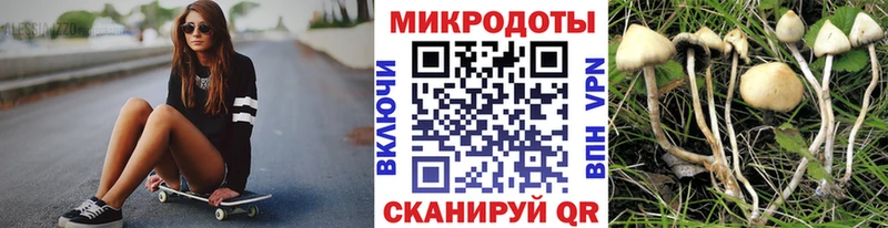 blacksprut как зайти Городовиковск Псилоцибиновые грибы Psilocybe купить